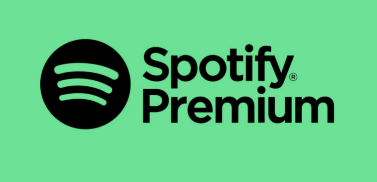 Tài khoản Spotify Individual | Spotify Premium-1